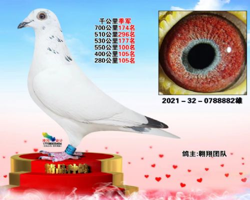 �߸밿�衴���ɰ�882ǧ���＾����
