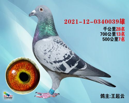 �߸밿�衴������039ǧ�����ʮ������