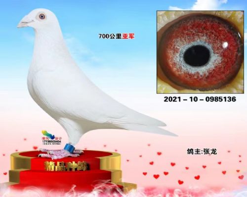 �߸밿����ɰ�136��700�����Ǿ���