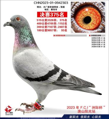 С����375��