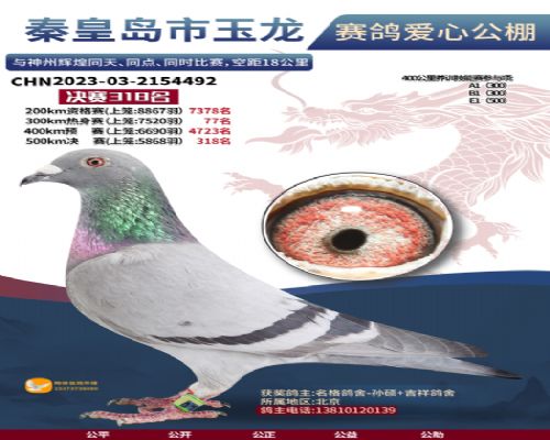 �ػʵ���������