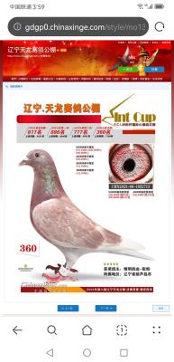 �˵�����˹������003