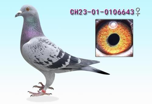 698