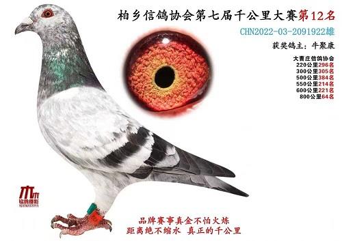 2023�괺ǧ����