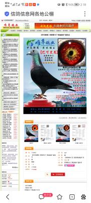 ��˹����