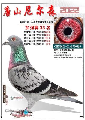 ��ɽ���ɭ���빫��33��