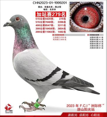 ��ɽ����������빫���վ279��