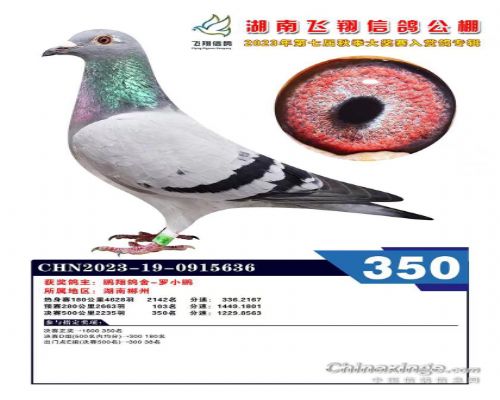 23����蹫��