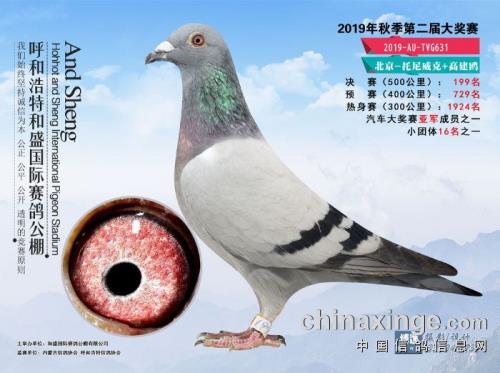 ��������-�߽�ŷ