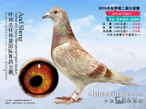 ��������-�߽�ŷ