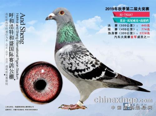 ��������-�߽�ŷ