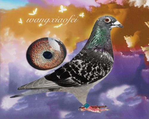 �������ھ���