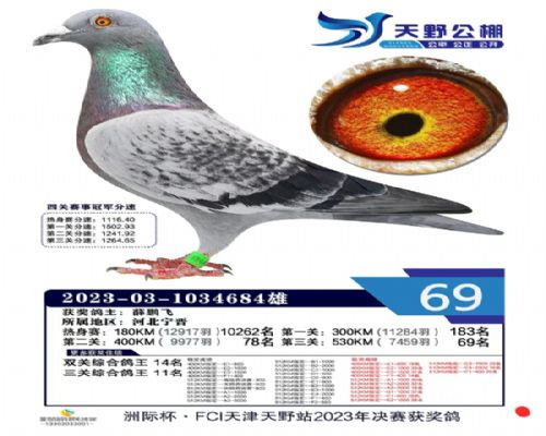 ����˿˿684