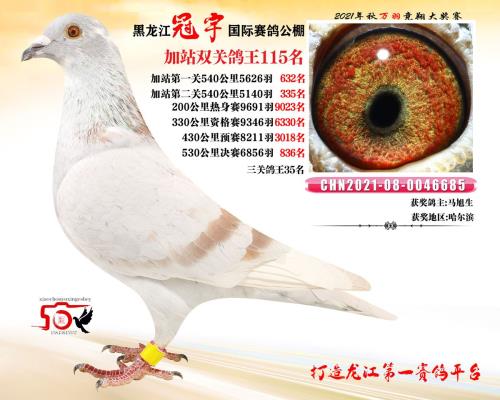 ɣ��ʿ����˹����