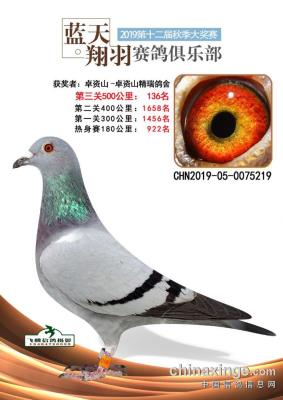 ���Ը�������ղɭ���ֲ���