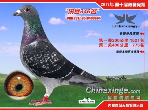 ղɭ���ֲ���