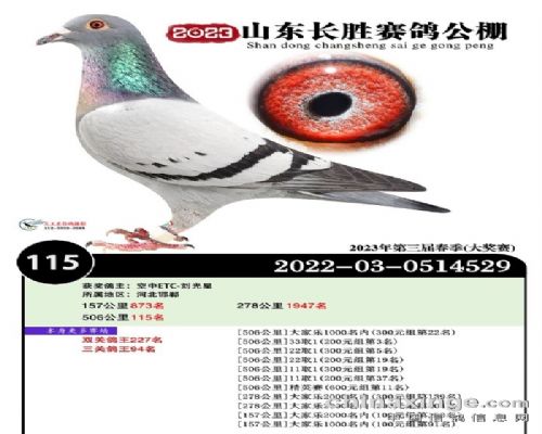 �����ָ�