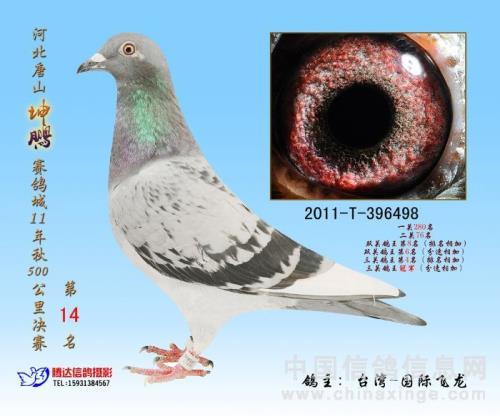 ���Ը���������������