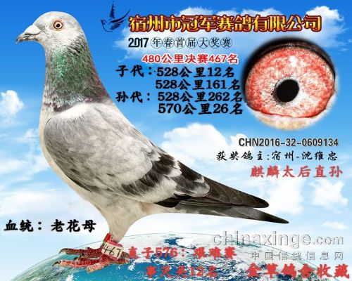 ����̫��ֱ��
�Ĺظ���ƽ��