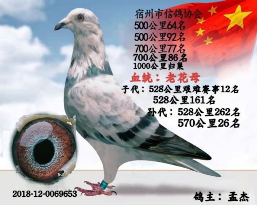 �ϻ�ĸ����