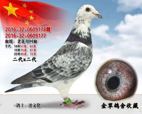 ����̫��ֱ��Ů