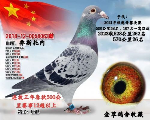 ��˹����