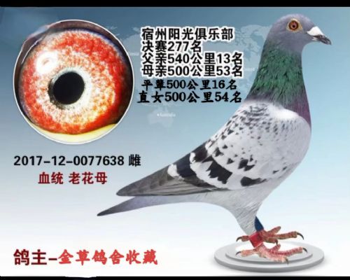 �ϻ�ĸֱ��Ů