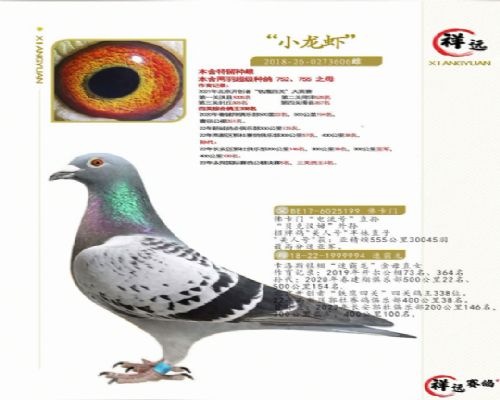 ��Զ����