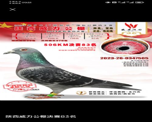 ��Զ����