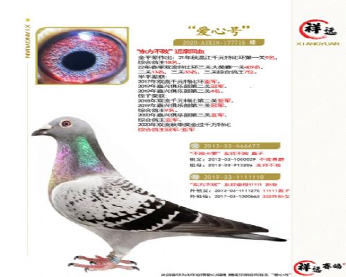 ��Զ����