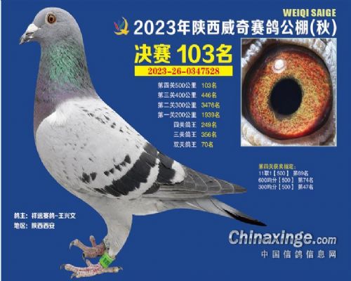 ��Զ����