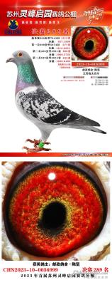 �����԰����289��