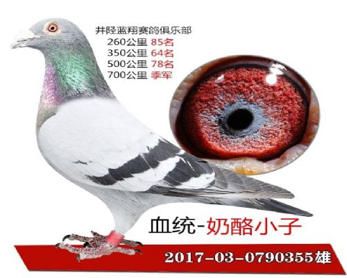 ����С��