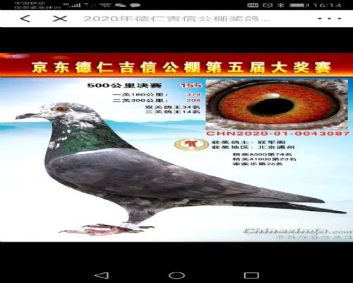 ����ȭ��