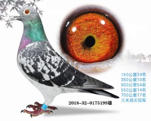 ���ظ����ھ�