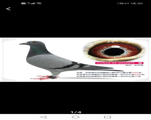 600����13��