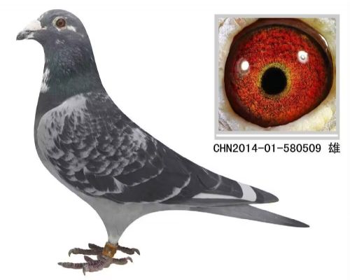 700����127��