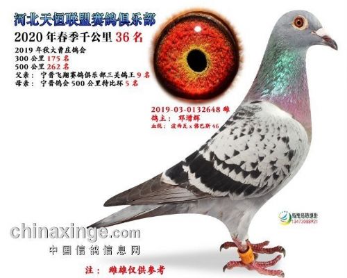 ǧ����36��