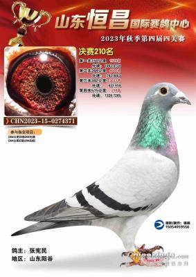 2023�������