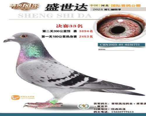 �ӱ�ʢ���﹫�����33��