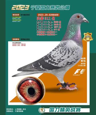 �����ɸ�