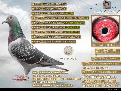 �����ĸ��858ֱŮ