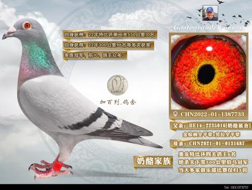 ����10��