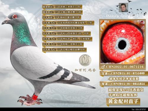 �����ĸֱ��