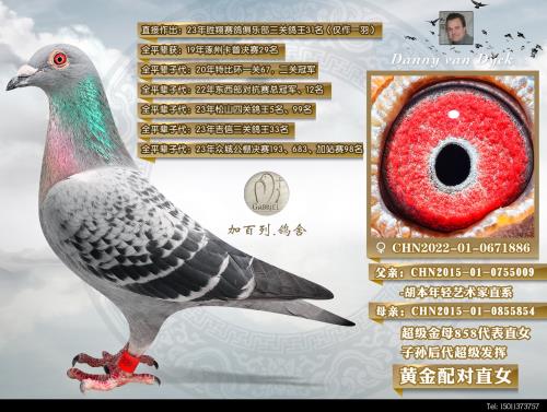 �����ĸֱŮ