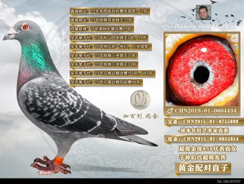 �����ĸֱ��