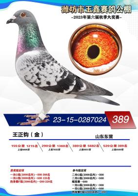 ���ι���2023��