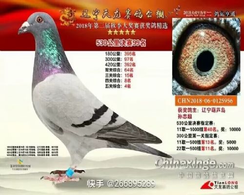 δ����