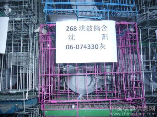 2009����繫��