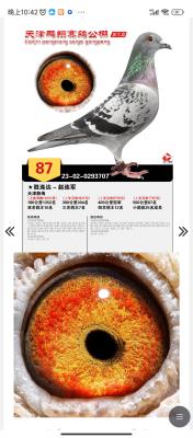 23����������Ԥ���ھ�